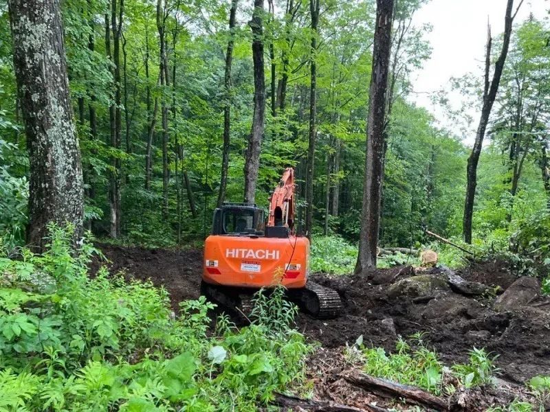 Land Clearing
